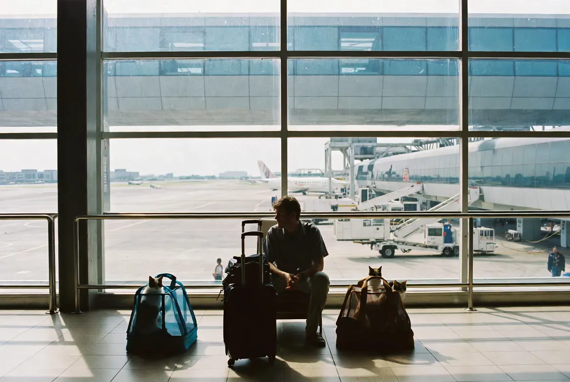 Before You Move Abroad, Read This Before You Move Abroad, Read This