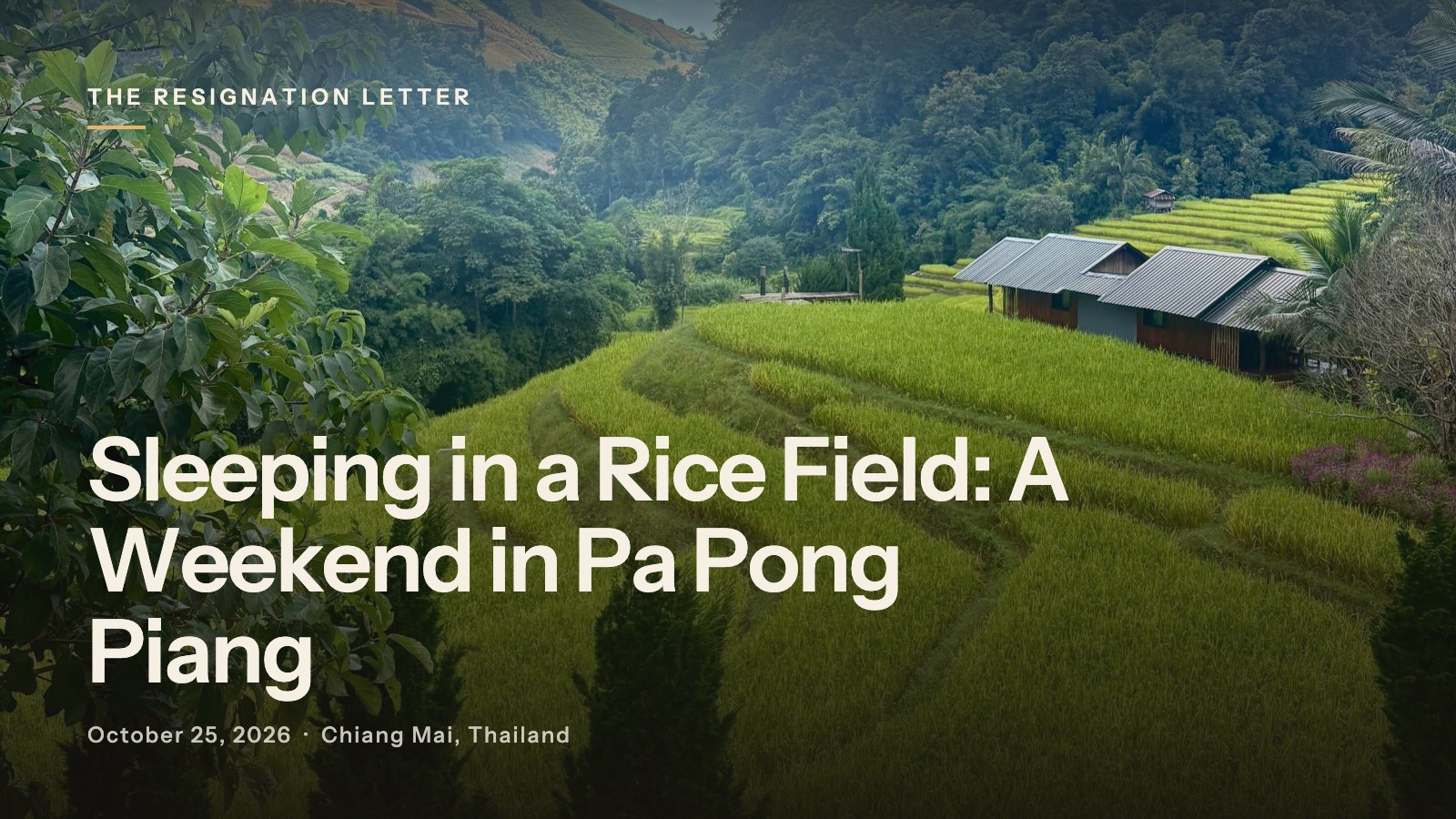 Sleeping in a Rice Field: A Weekend in Pa Pong Piang Sleeping in a Rice Field: A Weekend in Pa Pong Piang